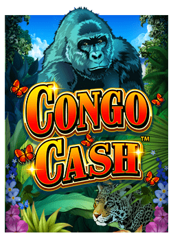 แนะนำ app เข า sbobet สำหรับทดลองเล่นเกมสล็อต